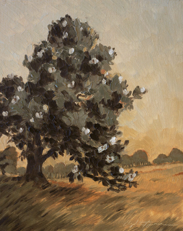 Magnolia at Dusk - Print