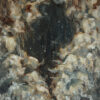 A Firmament in the Midst of the Waters